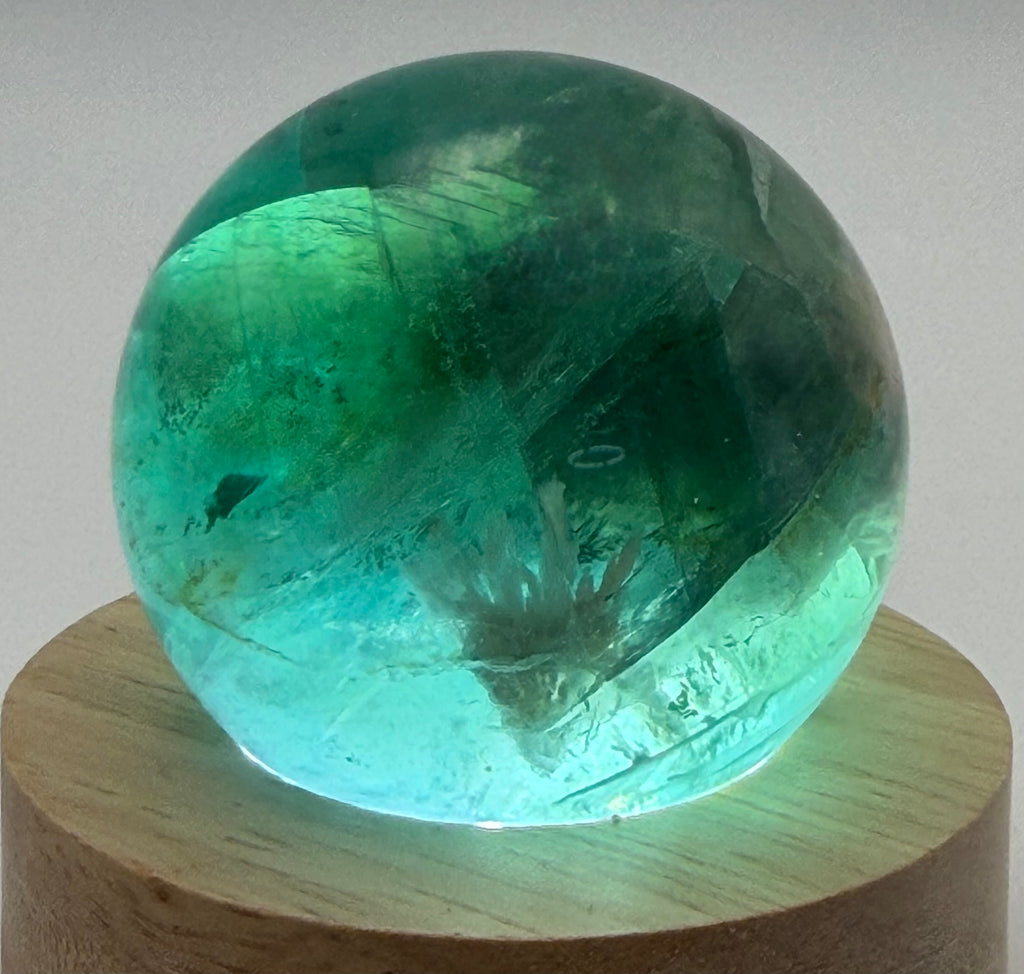 Enchanted Bloom | All Natural Fluorite Sphere with White Plume-Like Inclusions