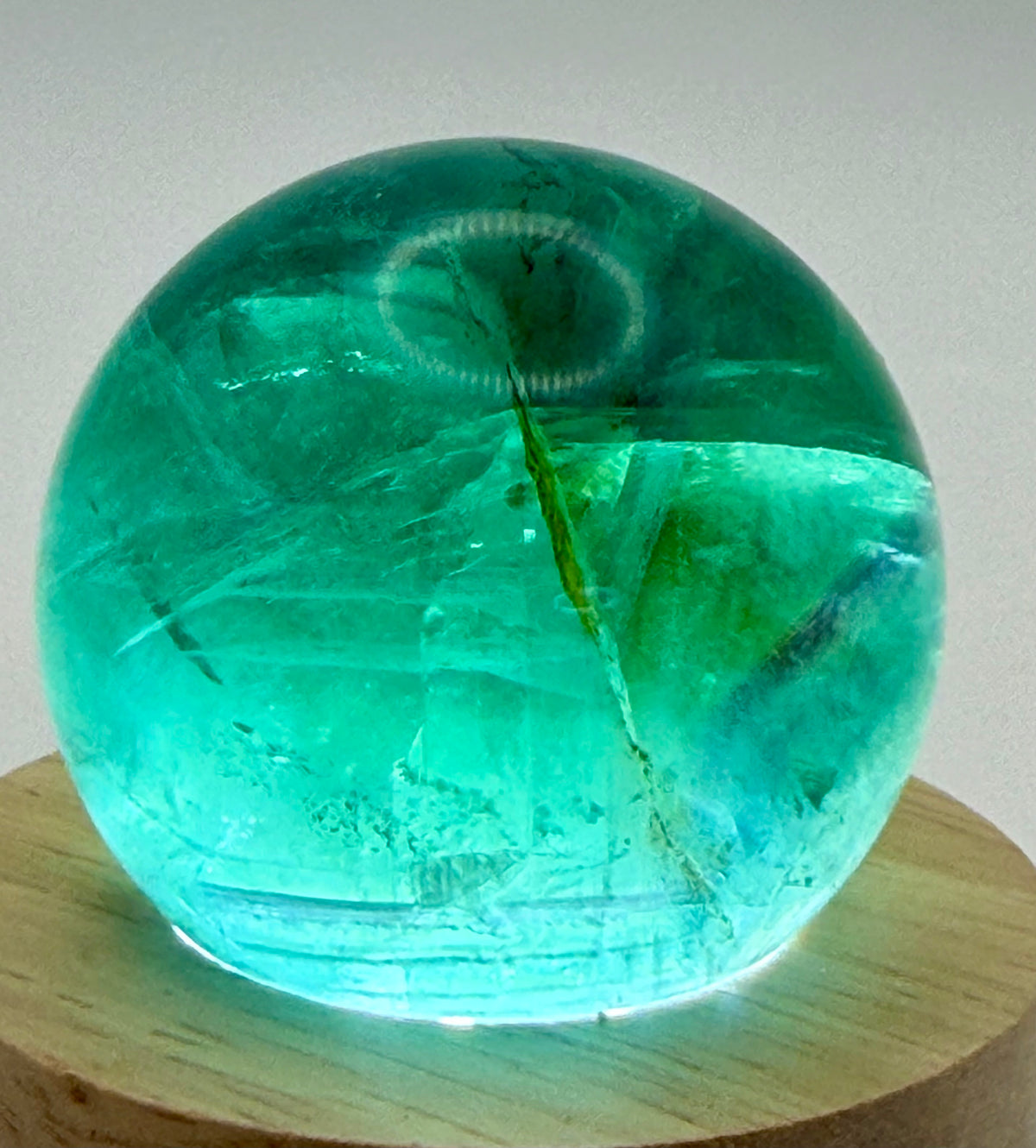Enchanted Bloom | All Natural Fluorite Sphere with White Plume-Like Inclusions