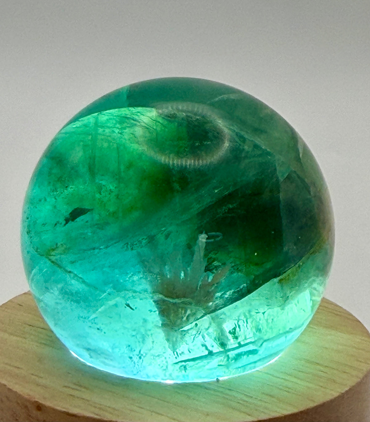 Enchanted Bloom | All Natural Fluorite Sphere with White Plume-Like Inclusions