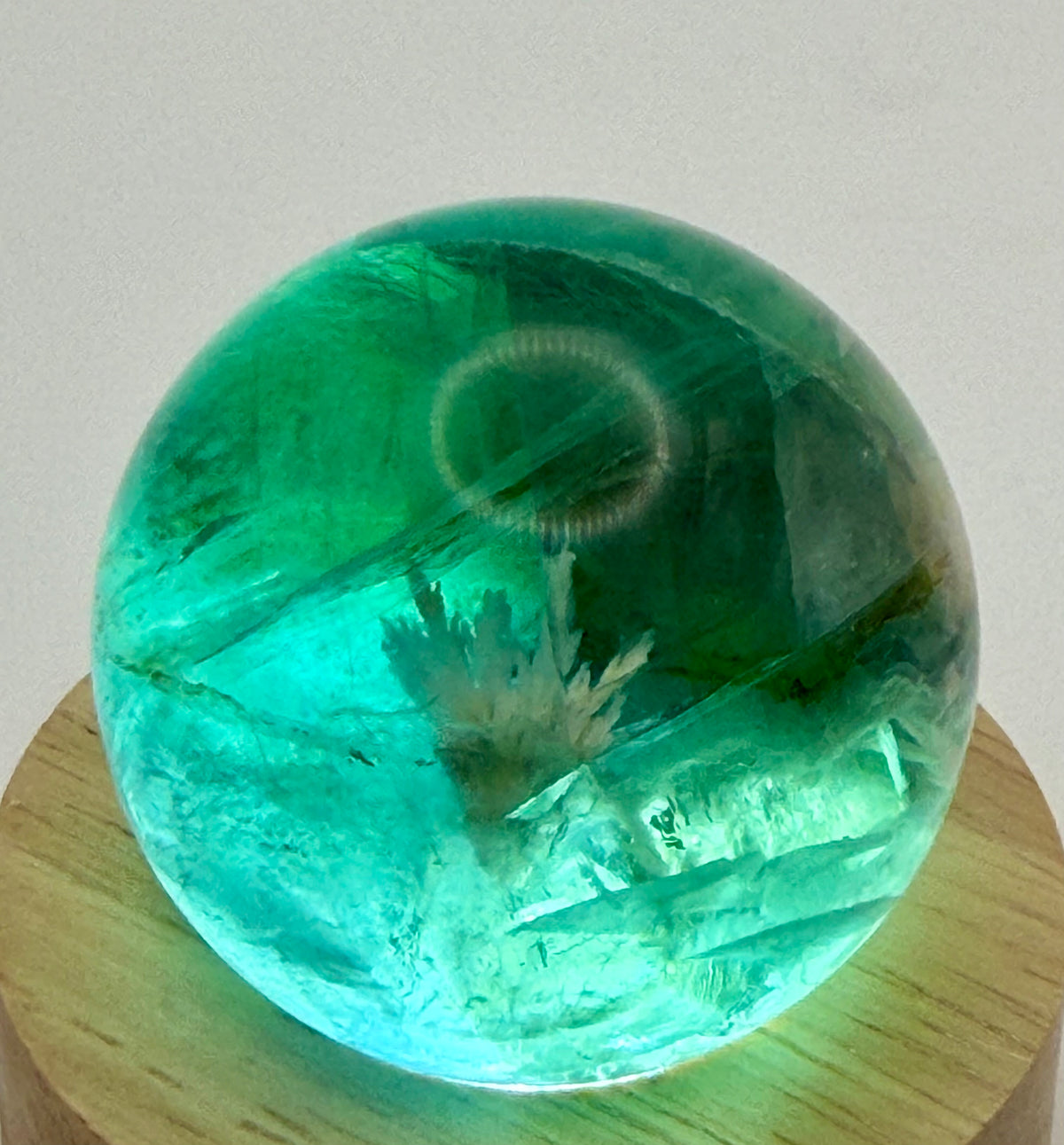 Enchanted Bloom | All Natural Fluorite Sphere with White Plume-Like Inclusions