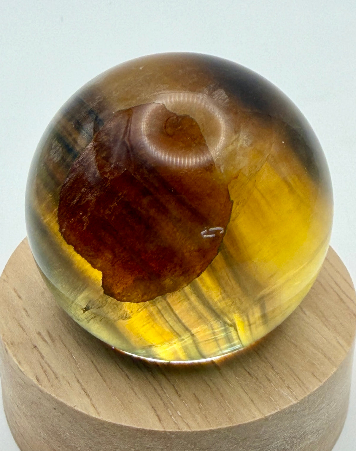 Amber Shadow | All Natural Banded Fluorite Sphere
