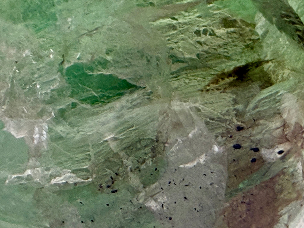 The Emerald Oracle | All Natural Phantom Fluorite Sphere