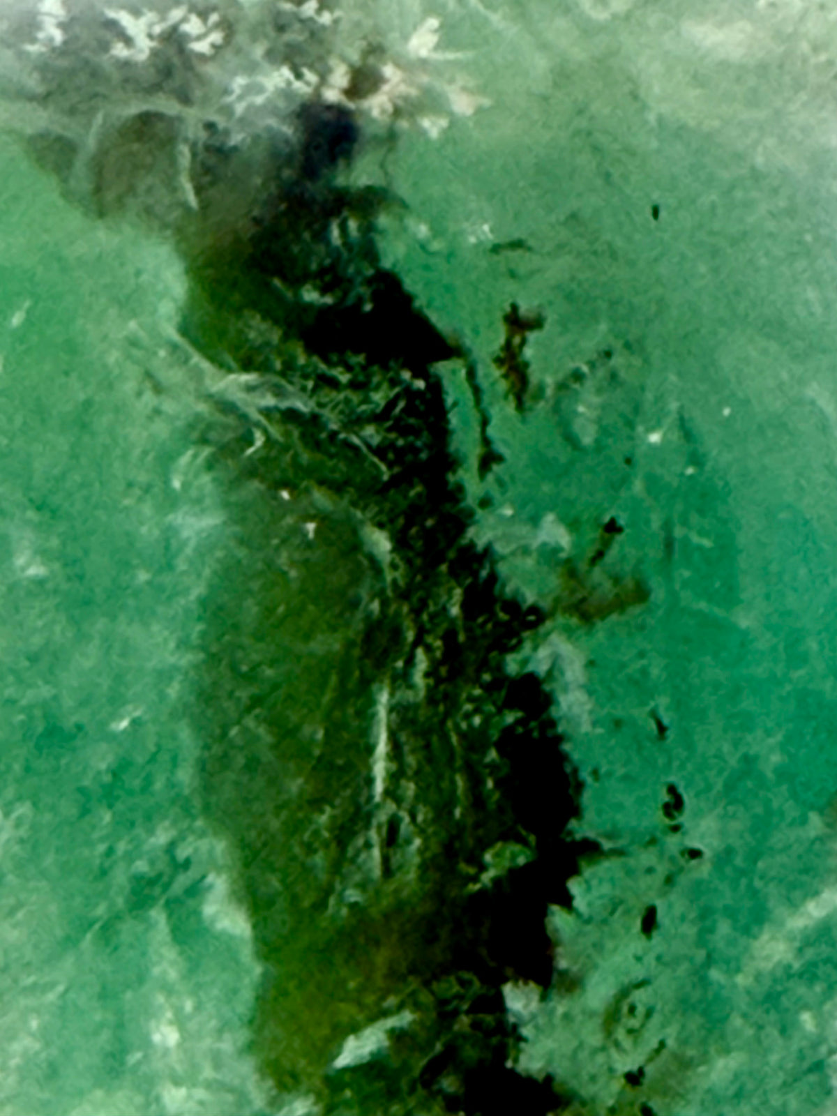 The Emerald Oracle | All Natural Phantom Fluorite Sphere