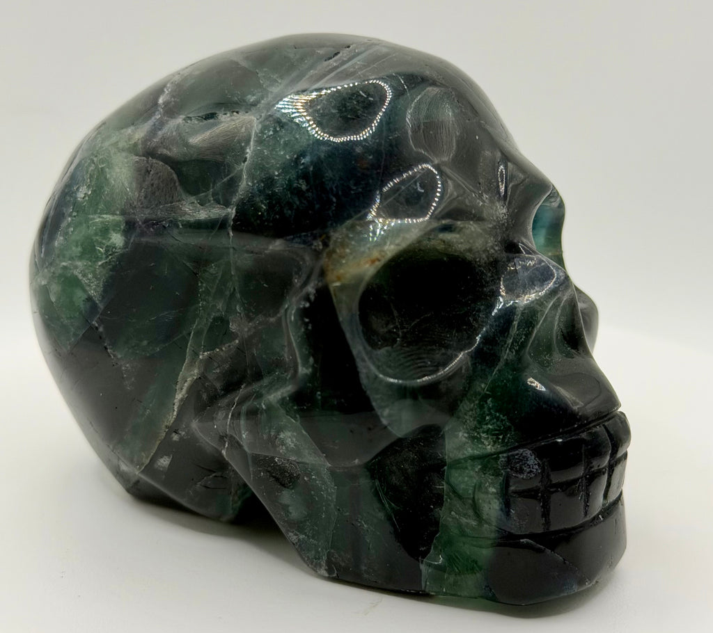 Black Rose Fluorite Skull – Heavy Blue Color Crystal Carving