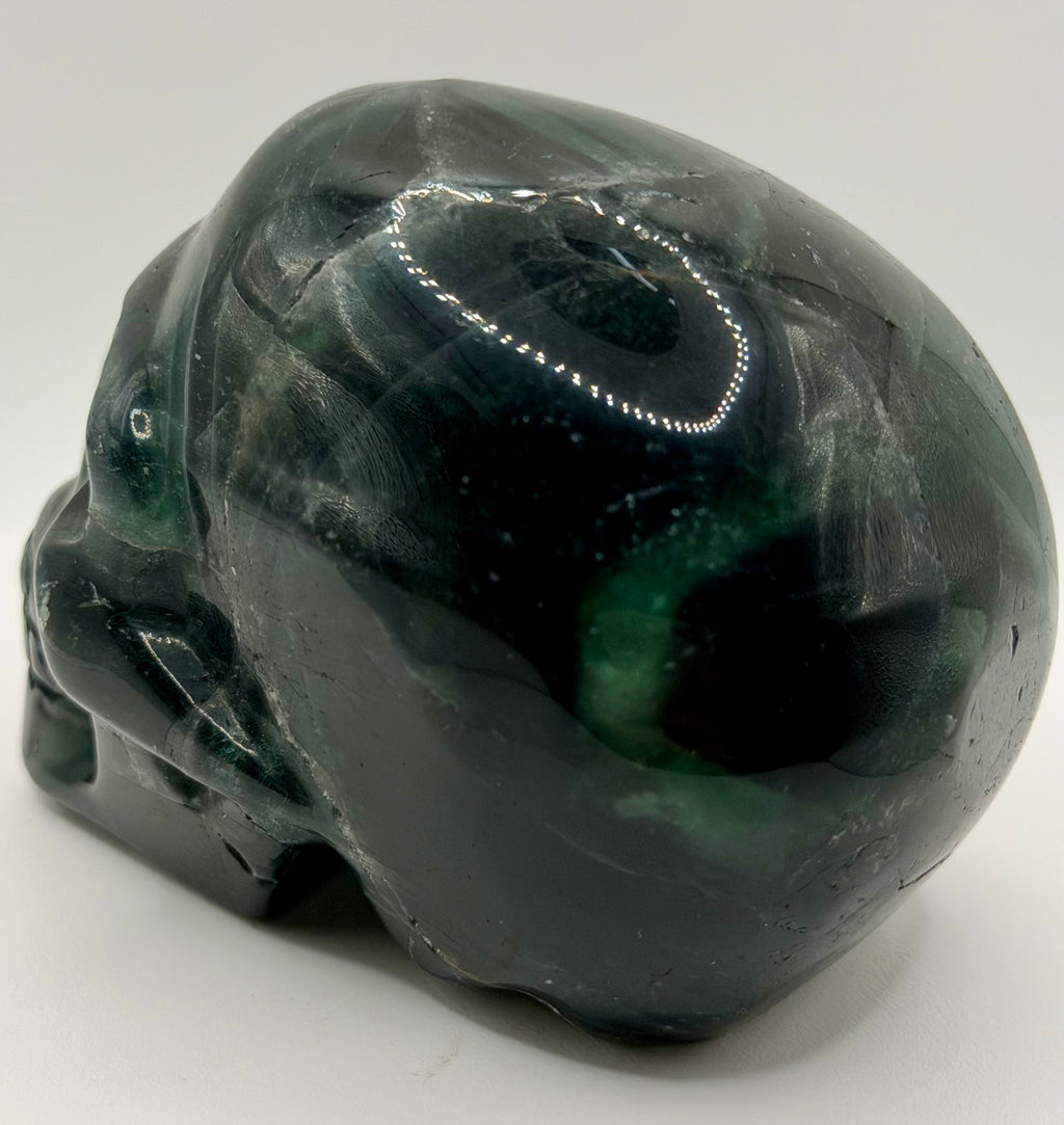 Black Rose Fluorite Skull – Heavy Blue Color Crystal Carving