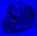 Black Rose Fluorite Skull – Heavy Blue Color Crystal Carving