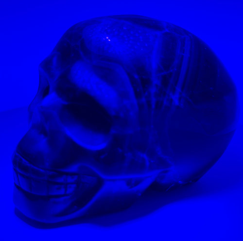 Black Rose Fluorite Skull – Heavy Blue Color Crystal Carving